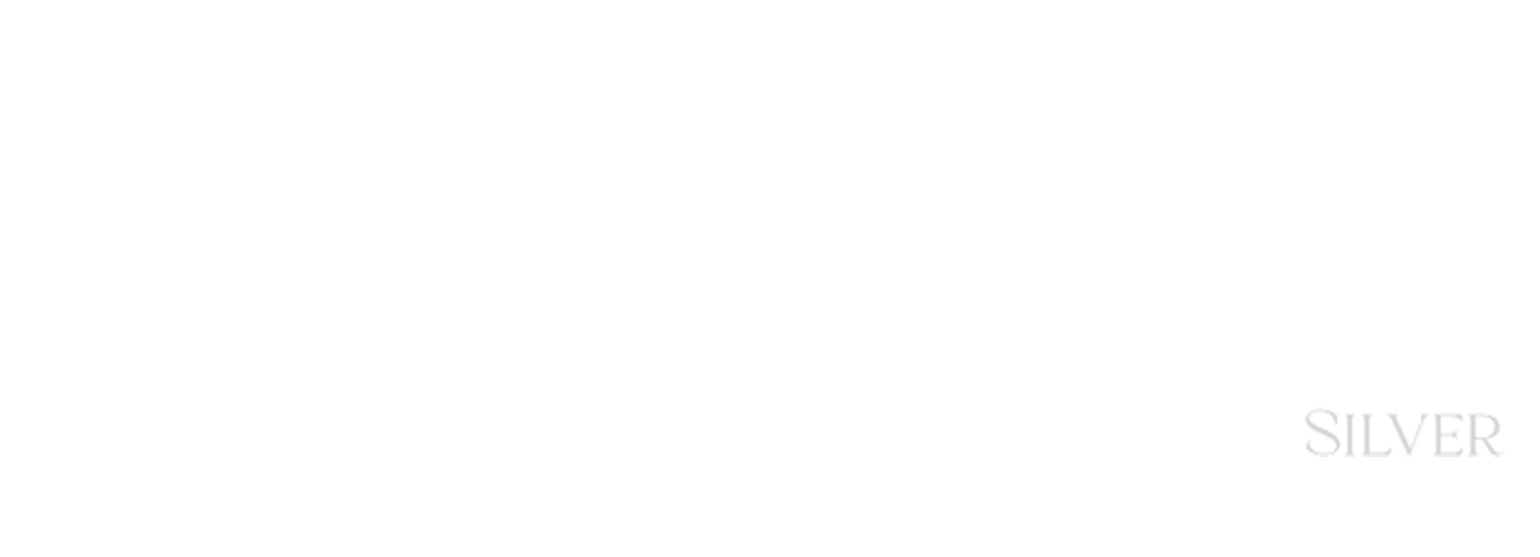 Tayfun Silver